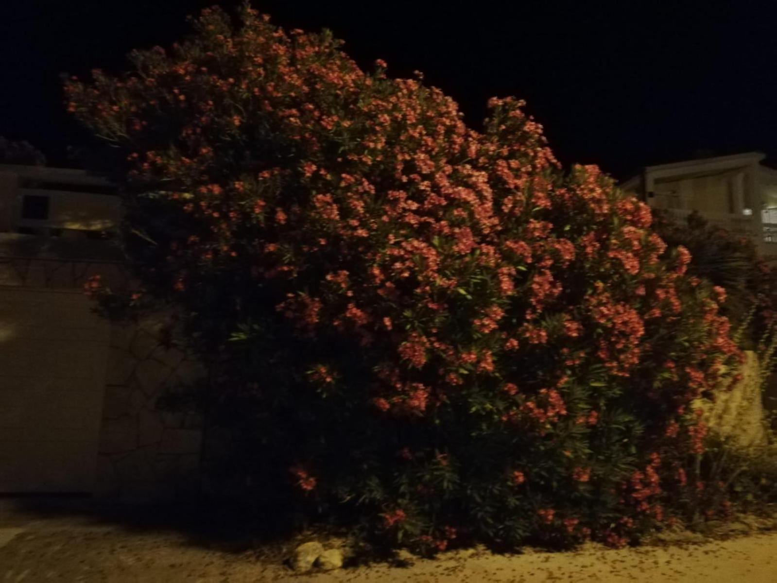 Apartments Zadar Nin Anton I Martina วรซี ห้อง รูปภาพ